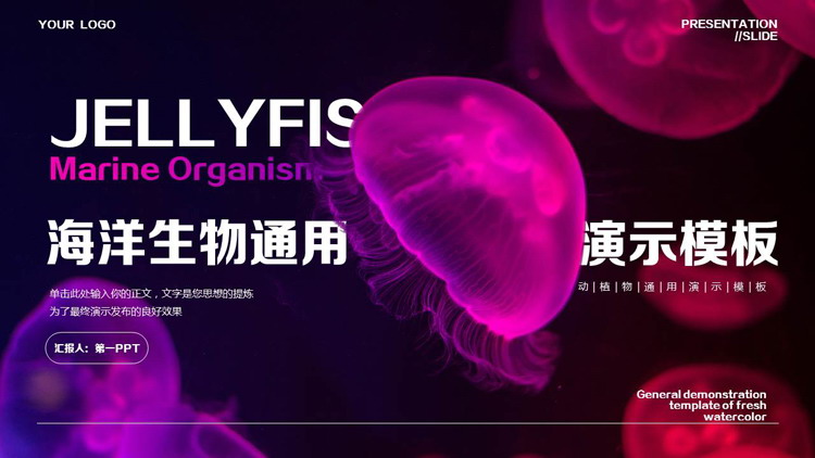 蓝紫配色水母背景的海洋生物通用PPT模板