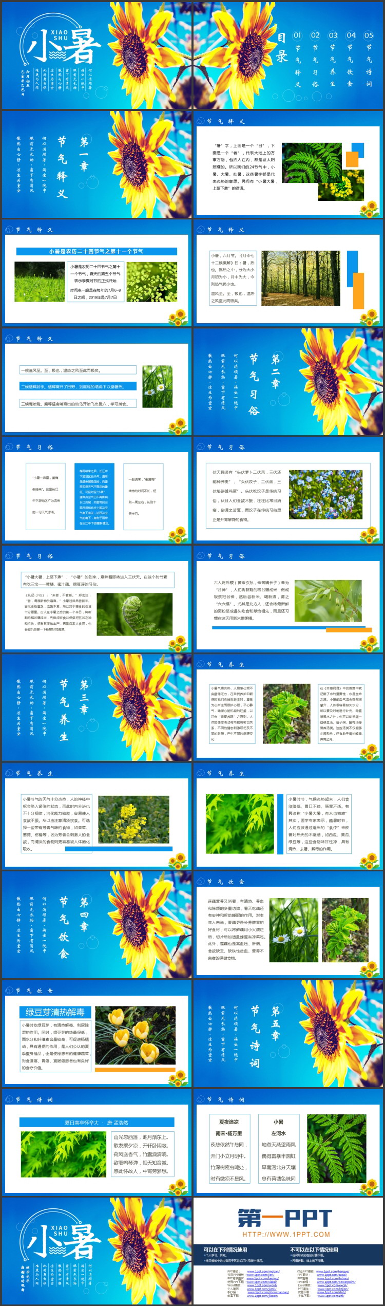 蓝色向日葵背景的小暑节气介绍PPT模板
