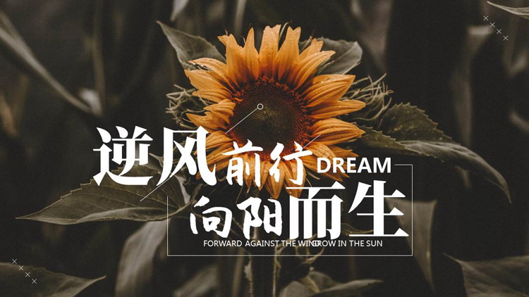 黑色向日葵背景的“逆风前行向阳而生”通用PPT模板