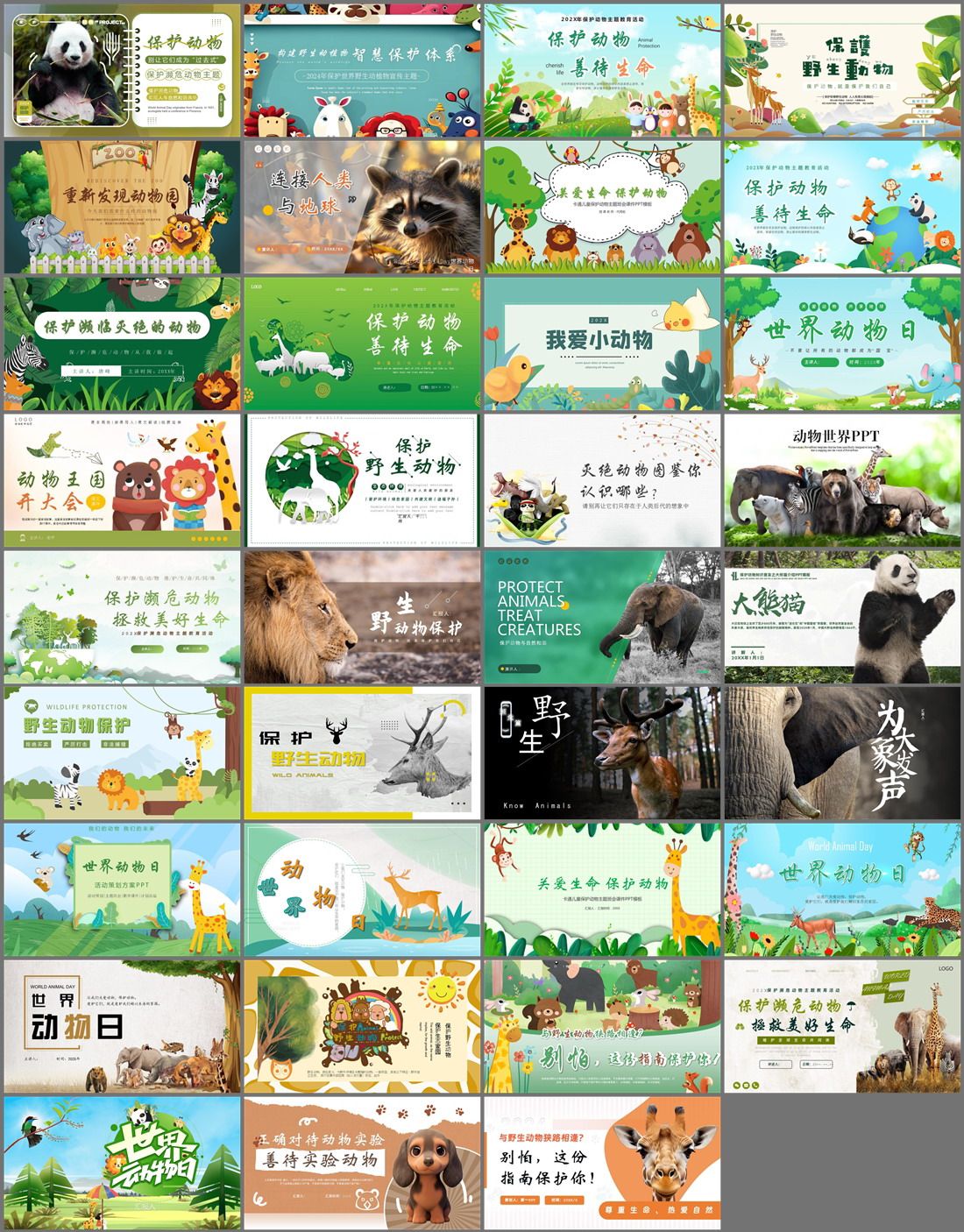 35套保护动物PPT模板免费打包下载