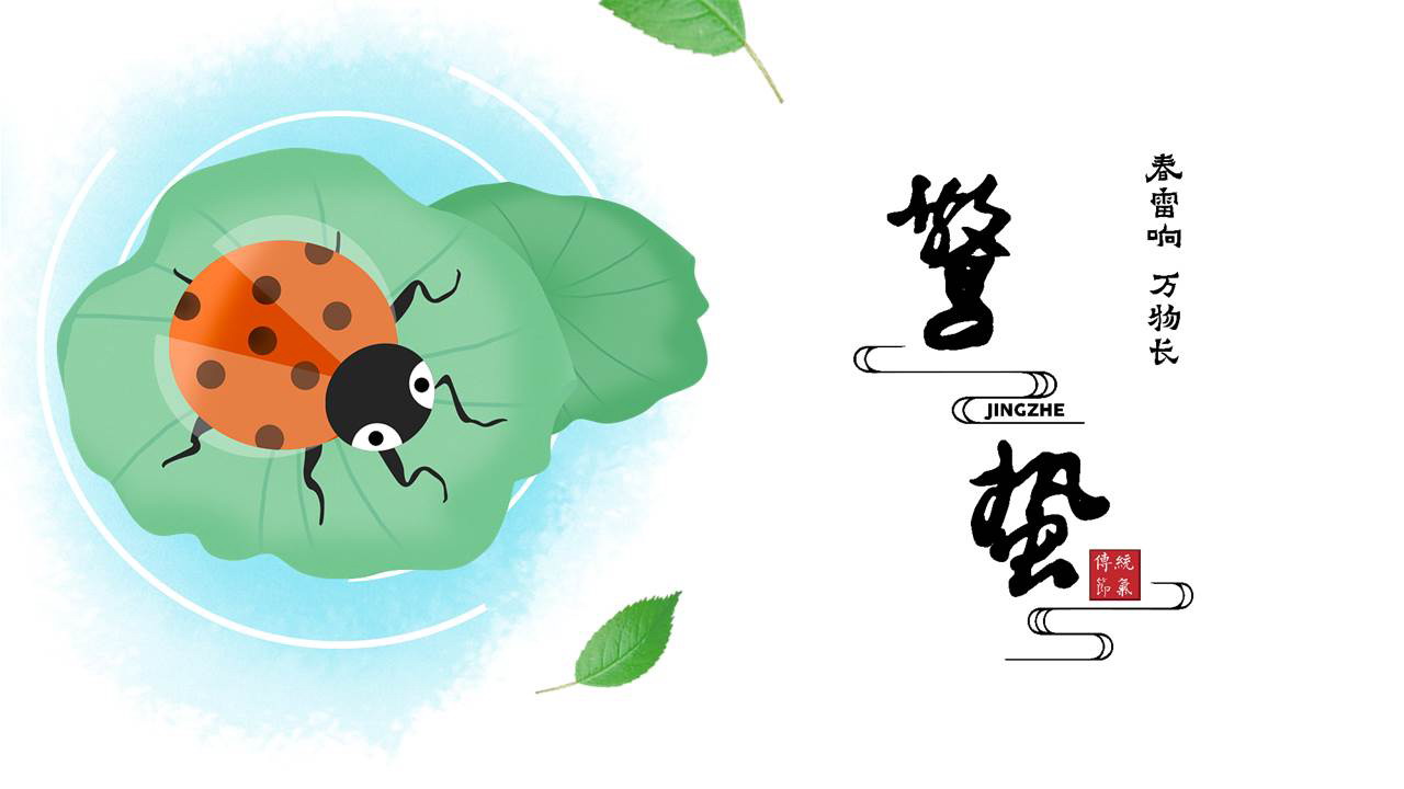 绿色卡通七星瓢虫背景的惊蛰节气介绍PPT模板