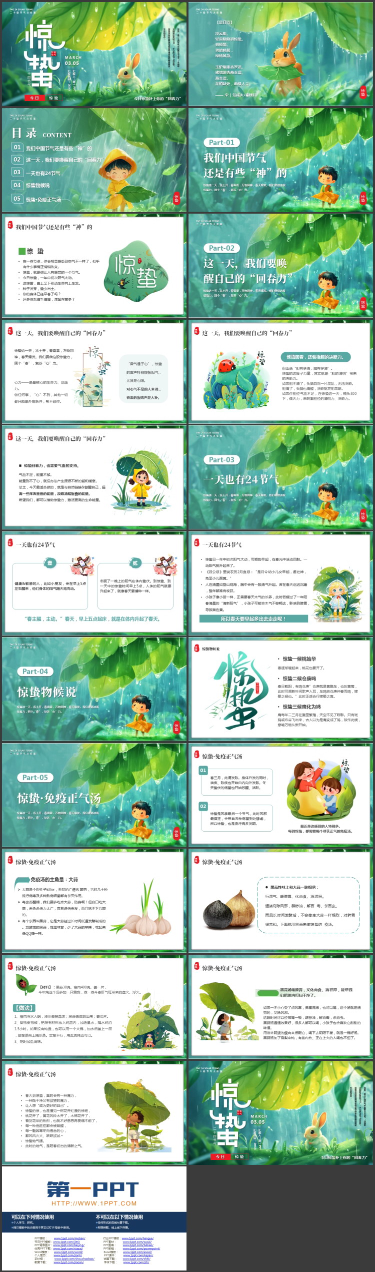 绿色精美插画风小兔子背景的惊蛰节气介绍PPT模板