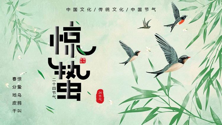绿色清新柳叶小燕子背景的惊蛰节气介绍PPT模板