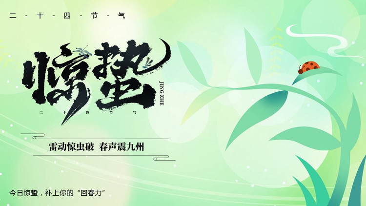 绿色清新卡通树叶七星瓢虫背景的惊蛰节气介绍PPT模板