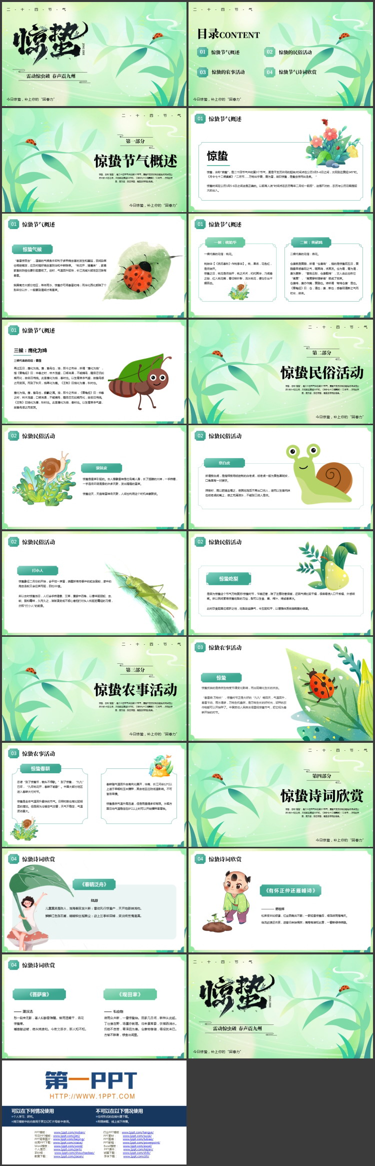 绿色清新卡通树叶七星瓢虫背景的惊蛰节气介绍PPT模板