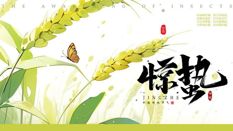 绿色插画麦穗背景的惊蛰节气介绍PPT模板