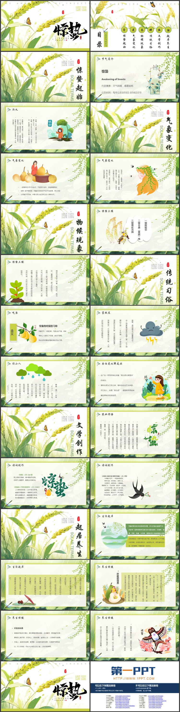 绿色插画麦穗背景的惊蛰节气介绍PPT模板