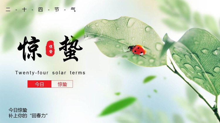 绿色精美叶子七星瓢虫背景的惊蛰节气介绍PPT模板