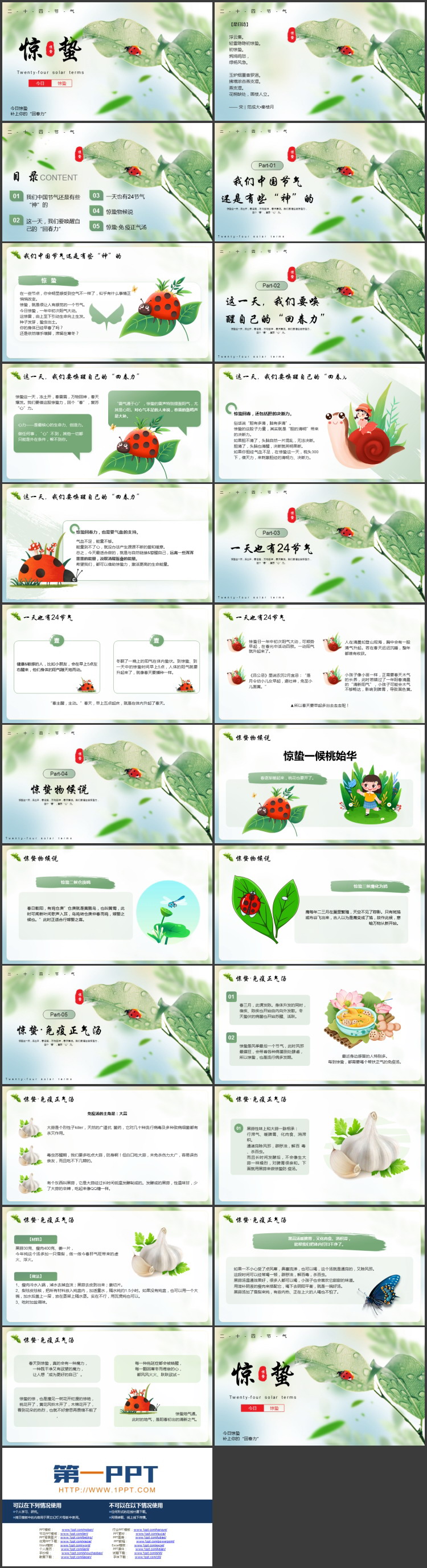 绿色精美叶子七星瓢虫背景的惊蛰节气介绍PPT模板