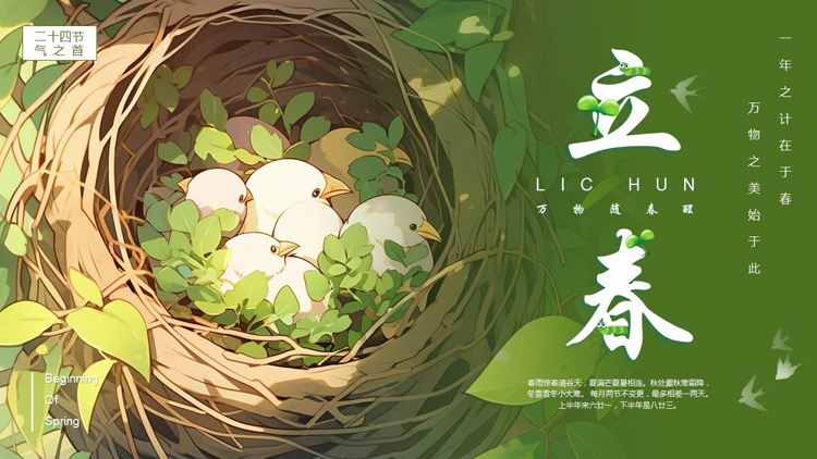 绿色插画小鸟背景的立春节气介绍PPT模板