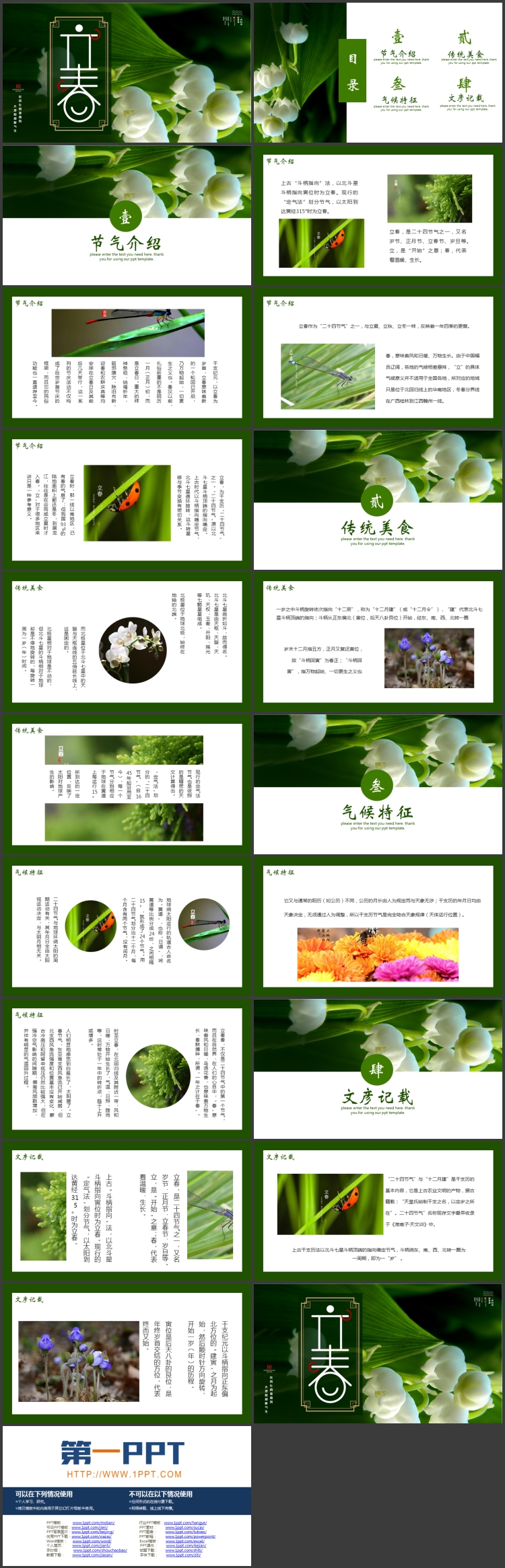 绿色鲜花背景的立春节气介绍PPT模板
