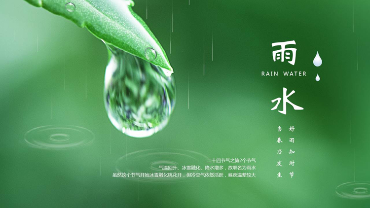 绿色叶子水滴背景的雨水节气介绍PPT模板