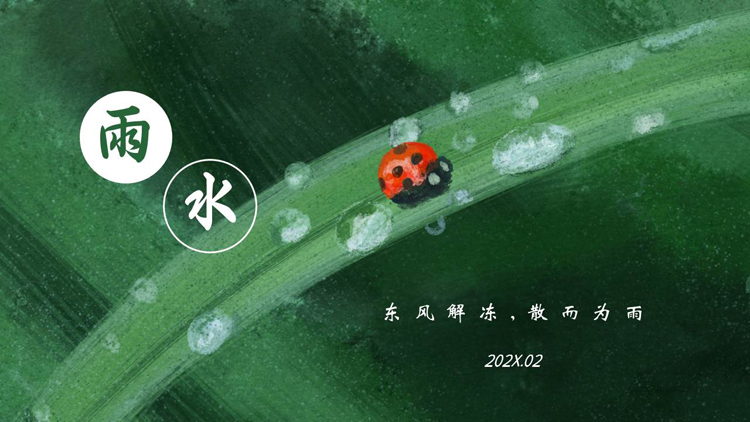 绿色水彩叶子甲虫背景的雨水节气介绍PPT模板