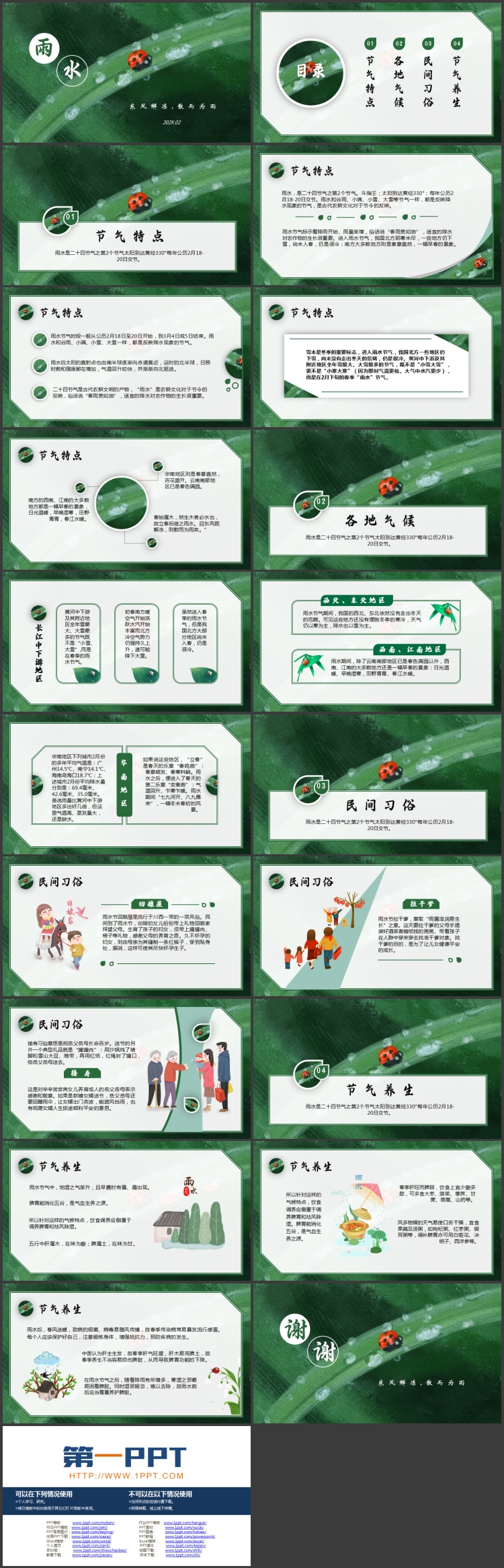 绿色水彩叶子甲虫背景的雨水节气介绍PPT模板