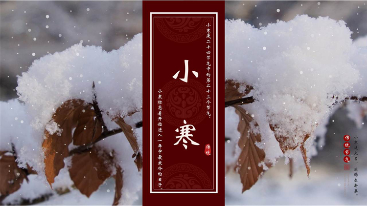 红色落雪的树枝背景的小寒节气介绍PPT模板