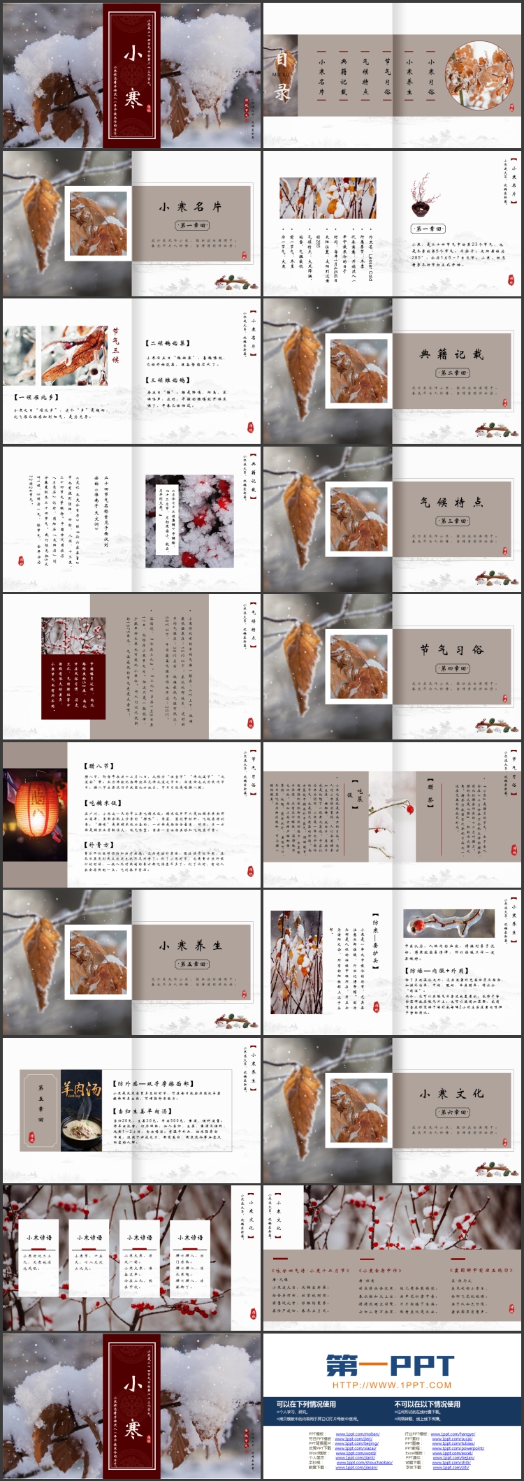 红色落雪的树枝背景的小寒节气介绍PPT模板