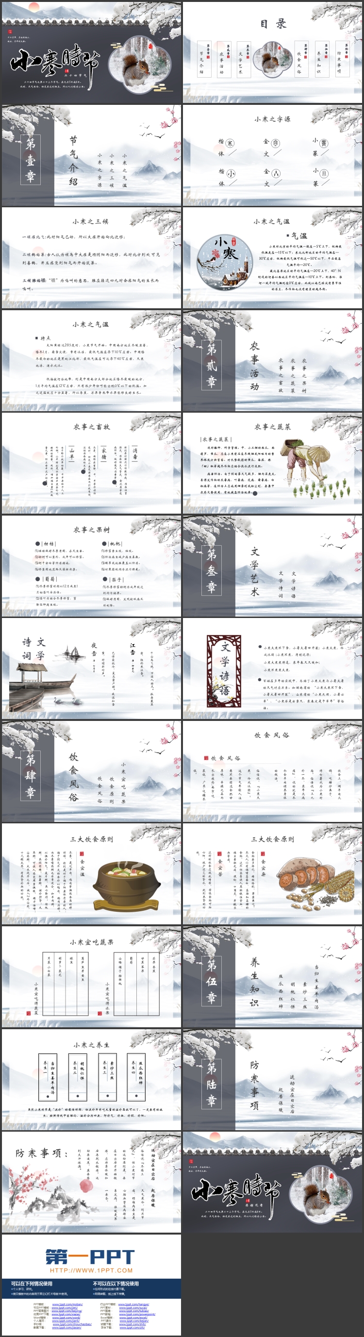 蓝色小松鼠背景的小寒时节介绍PPT模板