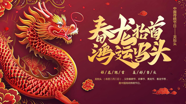 红色古典中国龙背景的“春龙抬首鸿运当头”传统节日龙抬头介绍PPT模板