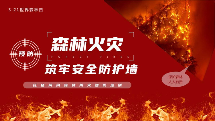红色“预防森林火灾筑牢安全防护墙”森林防火知识培训PPT模板下载