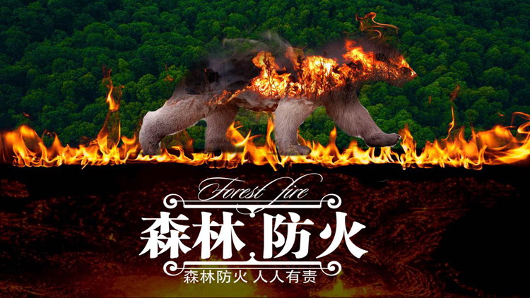 森林火焰背景的森林防火安全知识宣传PPT模板下载