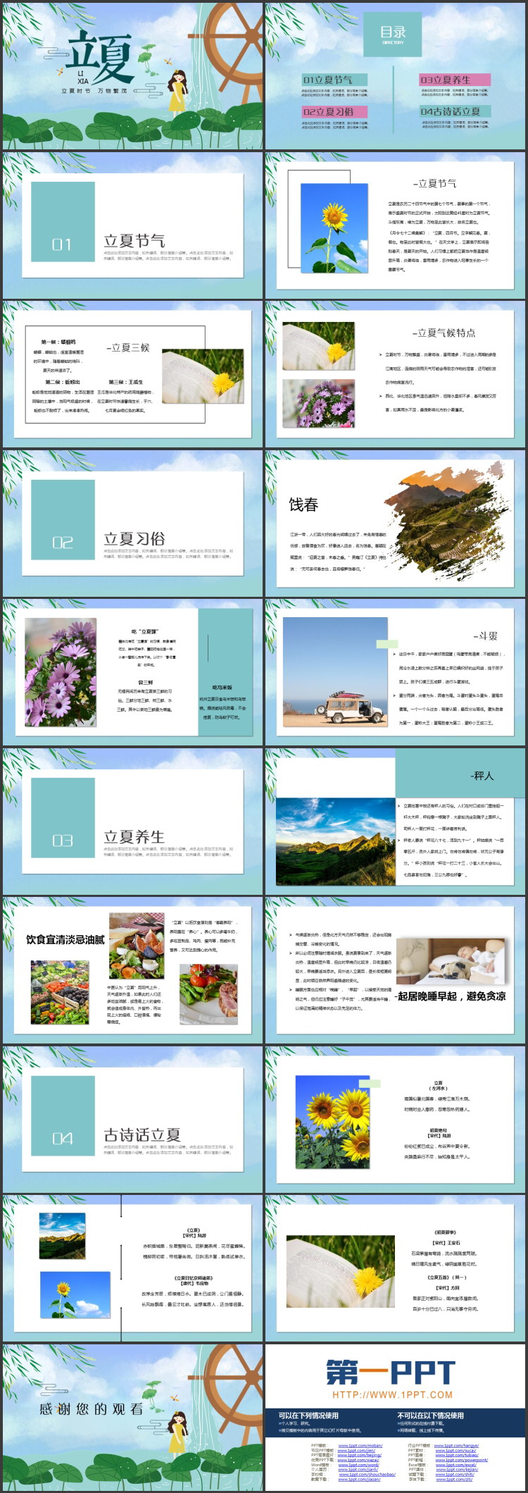 清新卡通荷叶背景的立夏节气介绍PPT模板