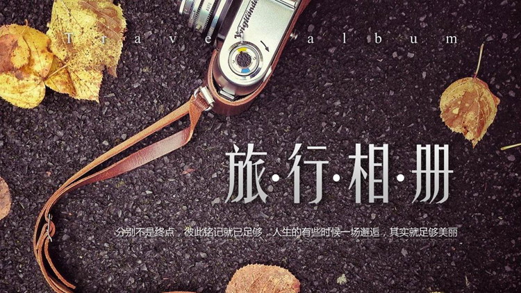 树叶相机背景的文艺风旅行相册PPT模板