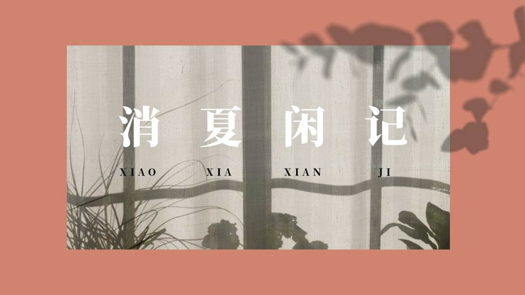 莫兰迪文艺风“消夏闲记”PPT模板