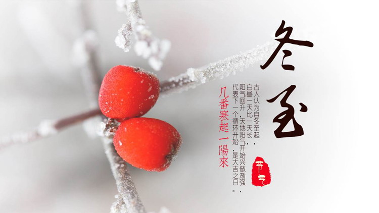 挂霜的红果子背景的冬至节气介绍PPT模板