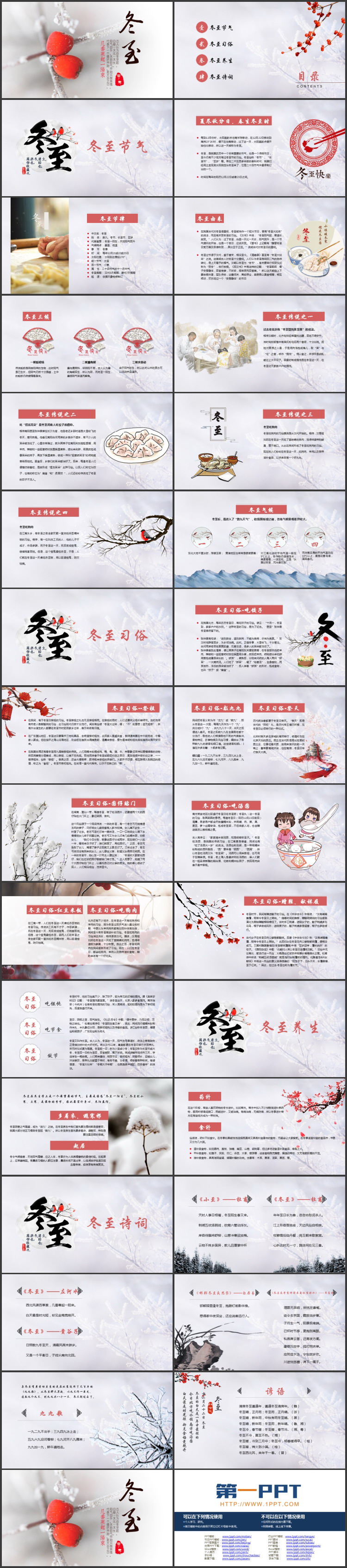 挂霜的红果子背景的冬至节气介绍PPT模板
