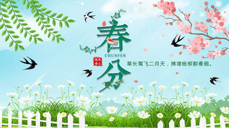 绿色清新花草小燕子背景的春分传统节气介绍PPT模板