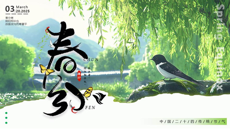 绿色清新柳叶小鸟背景的春分传统节气介绍PPT模板