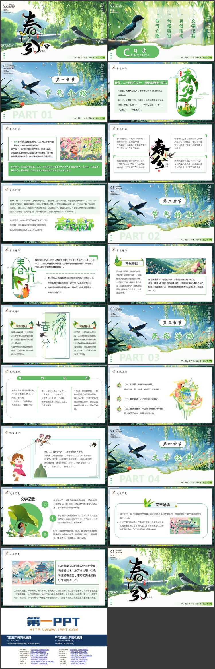 绿色清新柳叶小鸟背景的春分传统节气介绍PPT模板