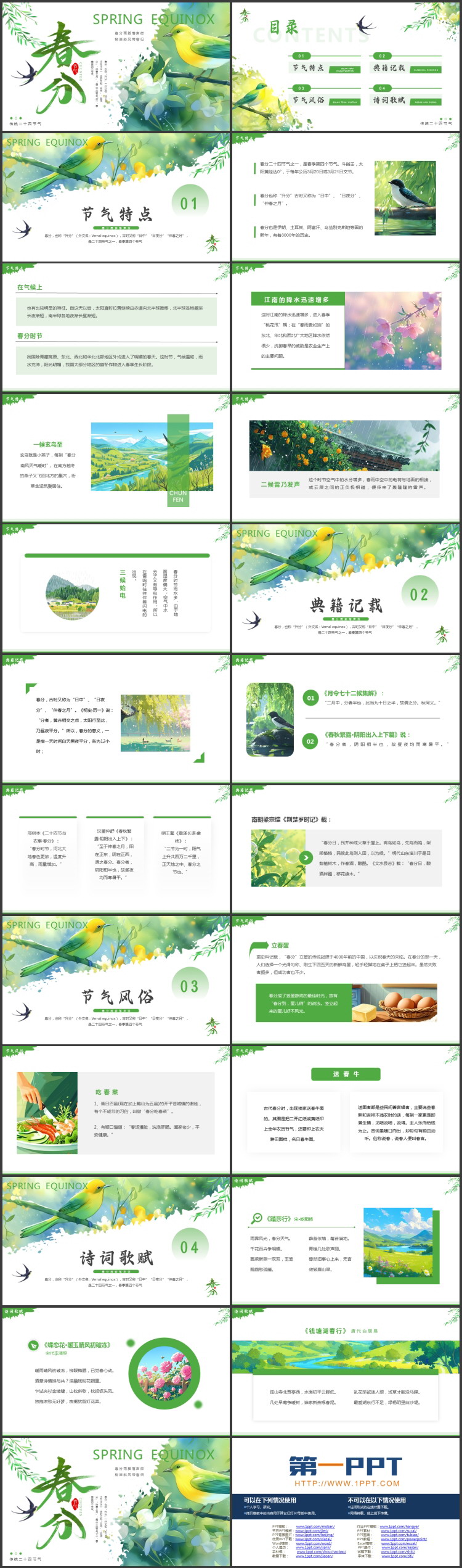 绿色清新插画风春分节气介绍PPT模板