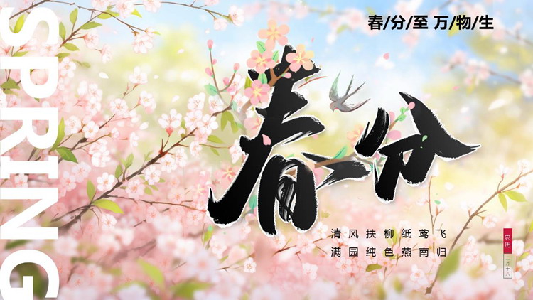 精美插画风桃花背景的春分节气介绍PPT模板