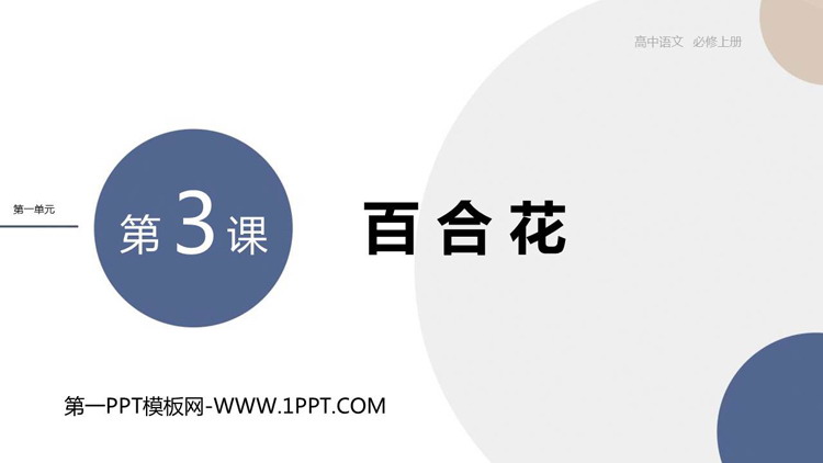 《百合花》PPT优质课件下载