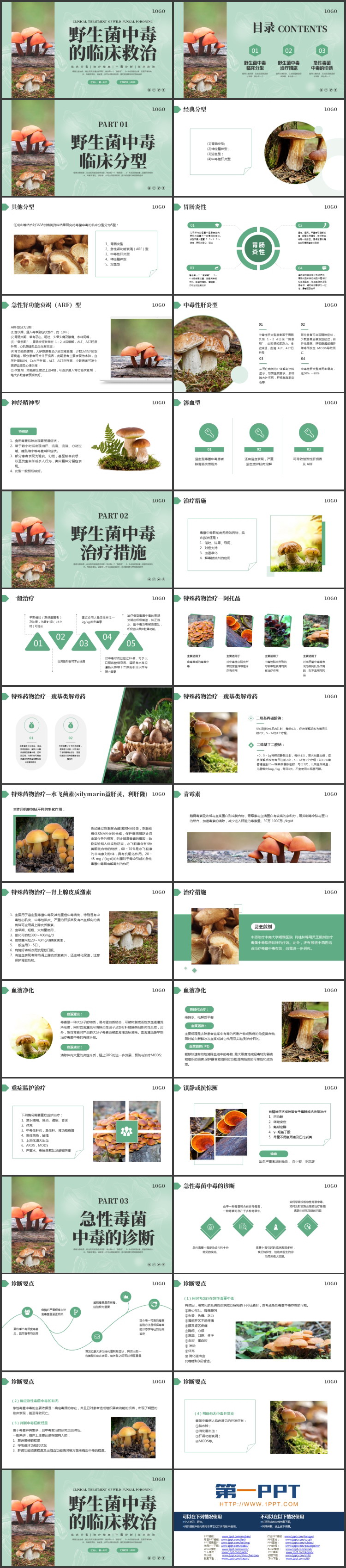 绿色野生蘑菇背景的野生菌中毒的临床救治PPT模板