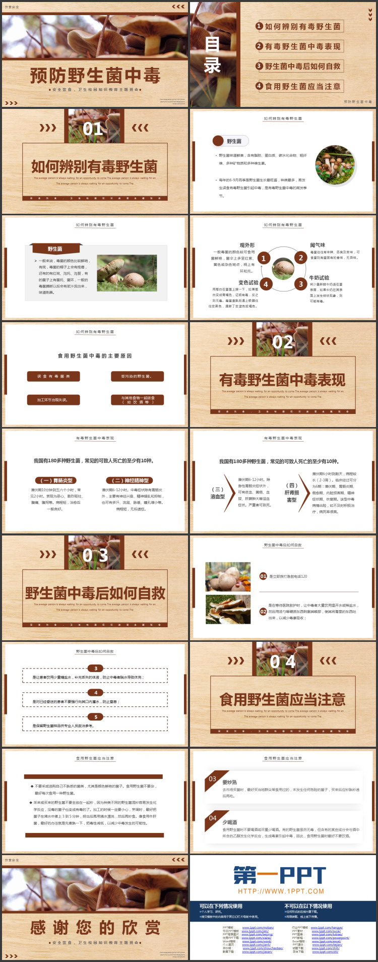 褐色“预防野生菌中毒”安全饮食卫生校园知识教育主题班会PPT模板下载