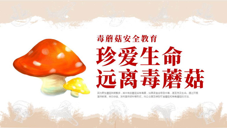 “珍爱生命远离毒蘑菇”食品安全教育PPT模板下载