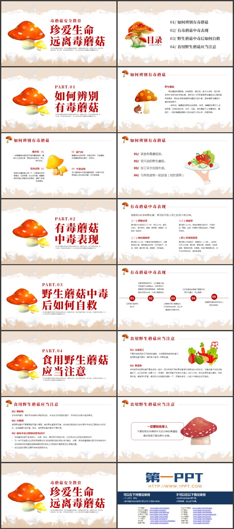 “珍爱生命远离毒蘑菇”食品安全教育PPT模板下载