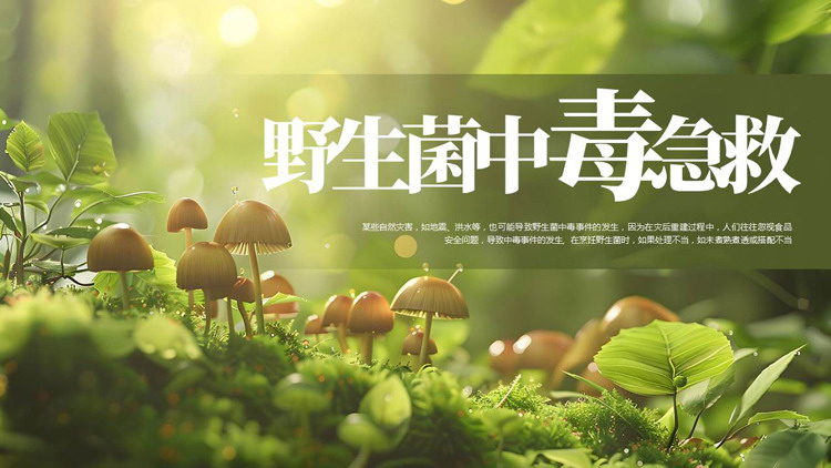 绿色清新野生菌中毒急救知识培训PPT模板