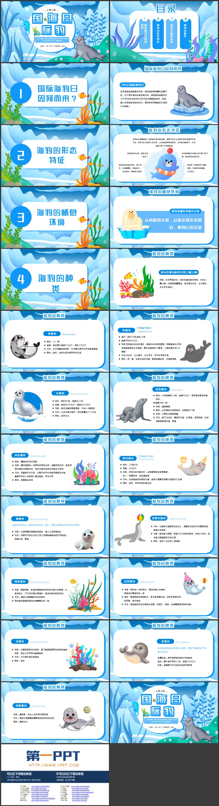 蓝色卡通海豹海草背景的国际海豹日PPT模板