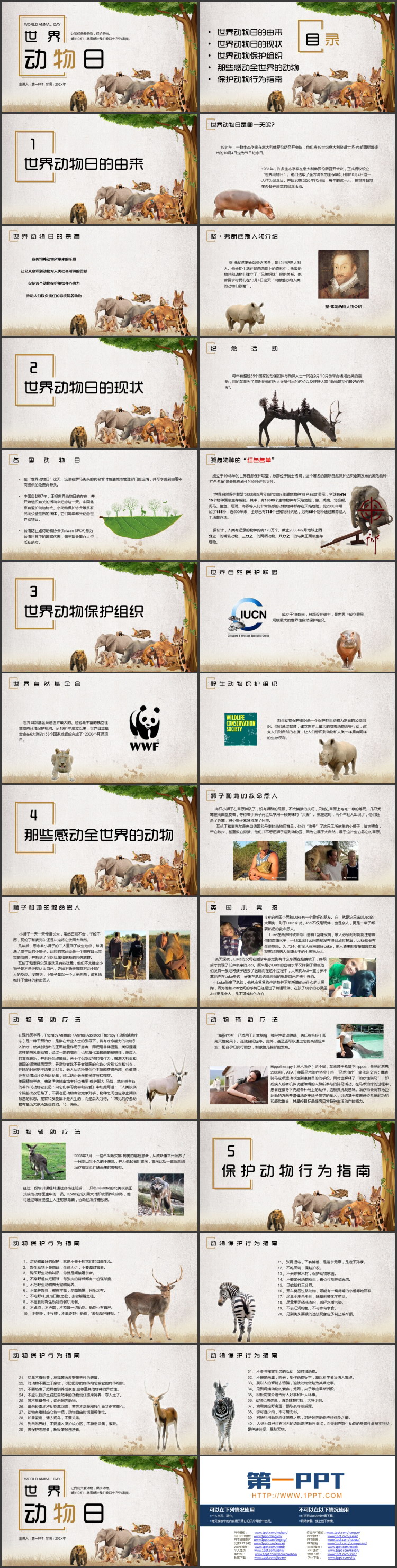 野生动物背景的世界动物日PPT模板下载