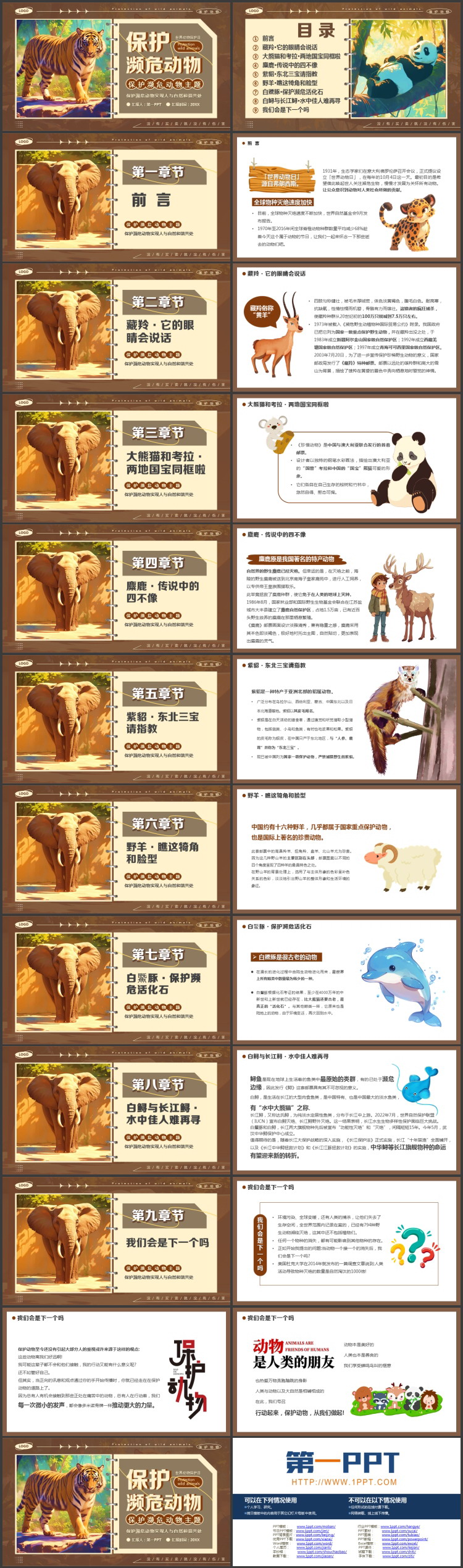 褐色老虎背景的保护濒危动物环保主题PPT模板下载