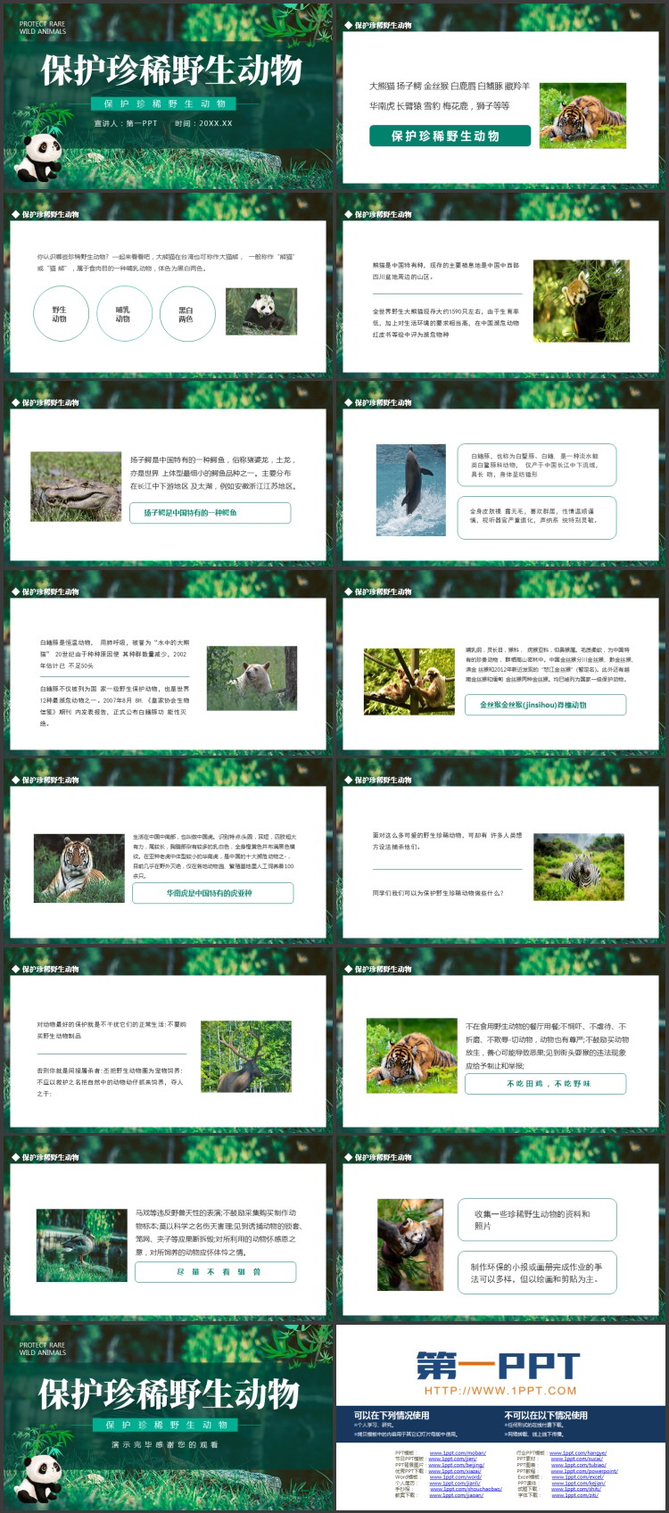 绿色熊猫背景的的保护珍稀野生动物PPT模板下载