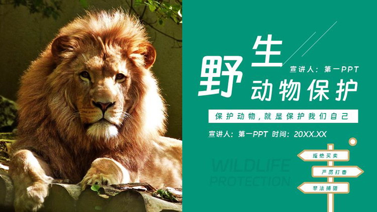 青色雄狮背景的野生动物保护PPT模板下载