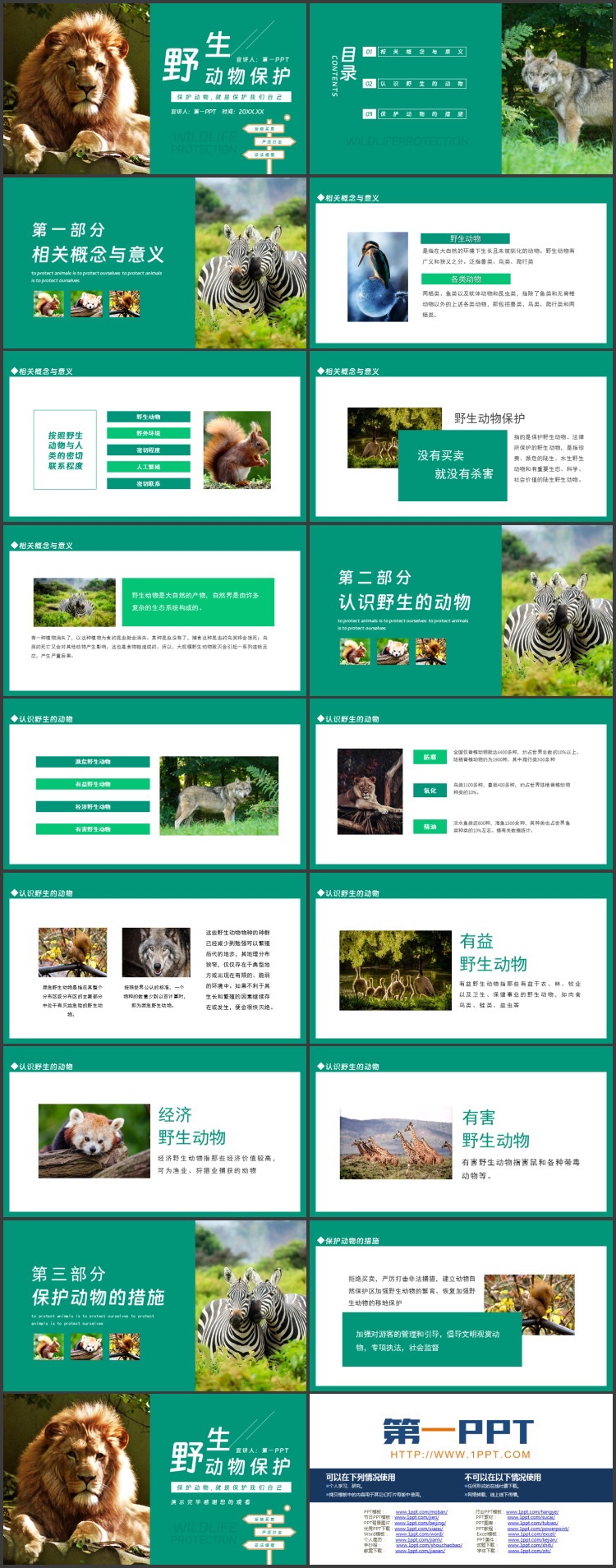 青色雄狮背景的野生动物保护PPT模板下载
