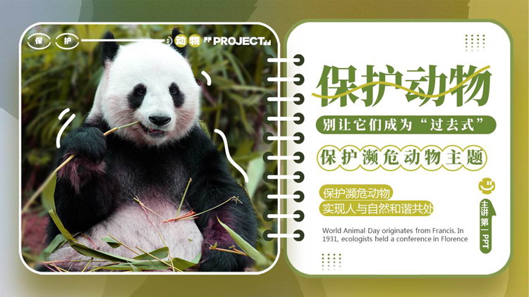 绿色大熊猫背景的保护濒危动物主题PPT模板下载