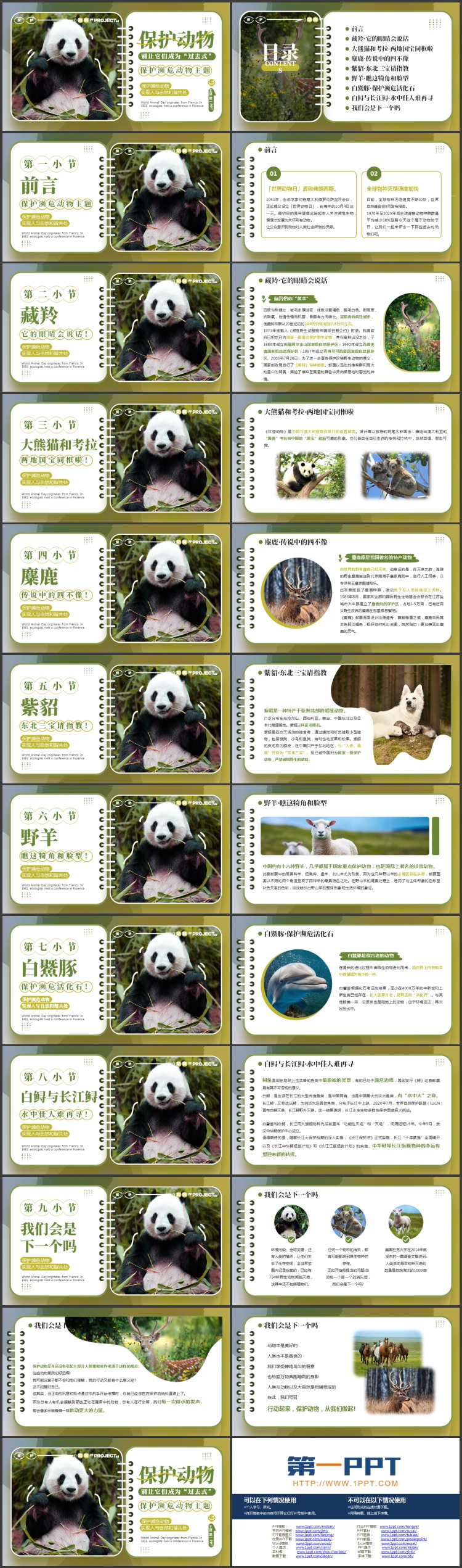 绿色大熊猫背景的保护濒危动物主题PPT模板下载