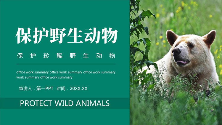 青色棕熊背景的保护野生动物PPT模板下载