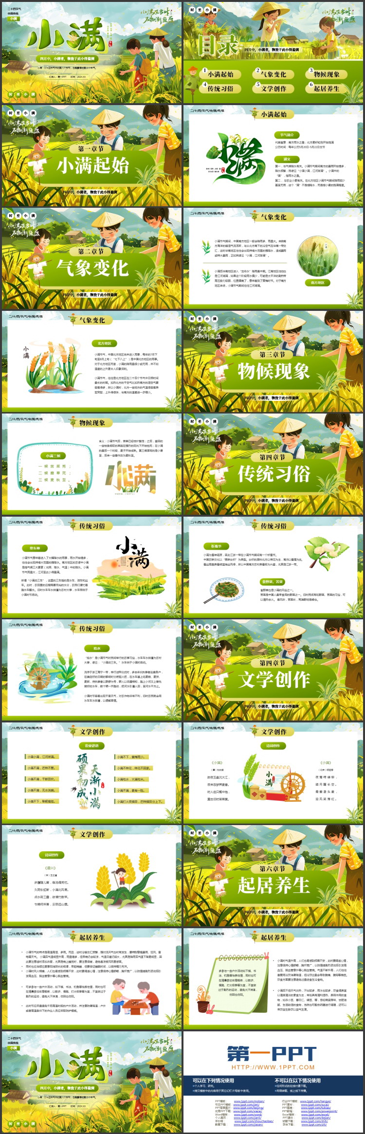 绿色清新插画风传统二十四节气之小满节气介绍PPT模板